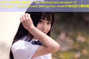 The development prospect of Shanghai's public-private partnership model
